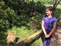 Kids_UKTrip_7-2017 (744)